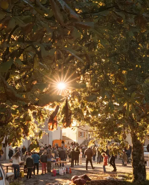 Fete-de-lautomne-new