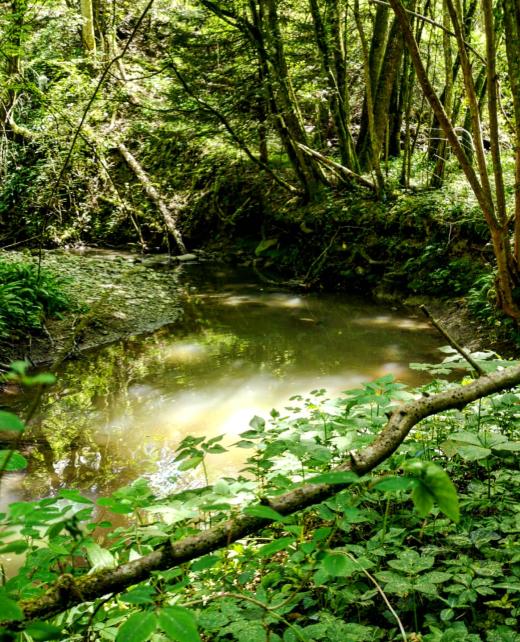 IMG_20200427_180725_499